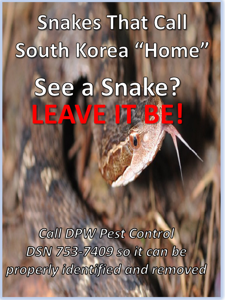 Snakes in Korea PDF Snake