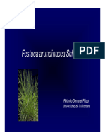 Festuca Arundinacea Schreber: Rolando Demanet Filippi Universidad de La Frontera
