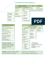 Neuropsicología Degenerativa