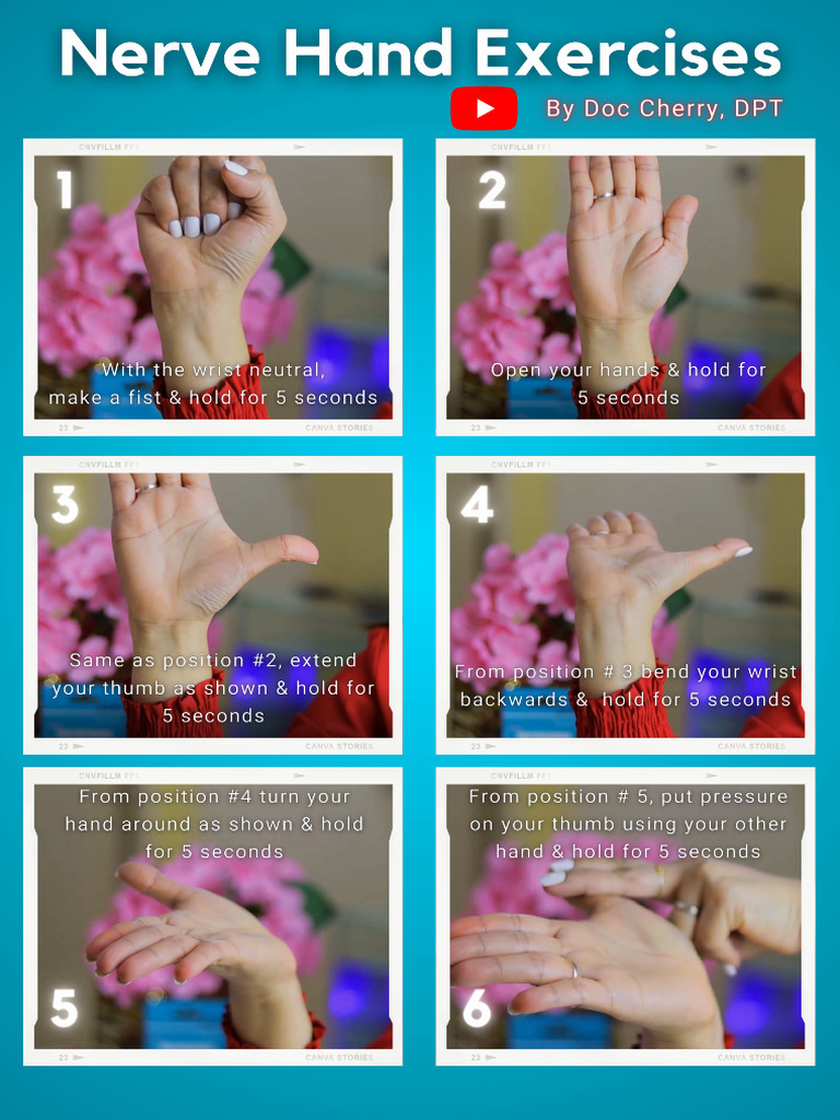 Nerve Glide Exercises | PDF
