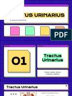 Day 9 - Tractus Urinarius