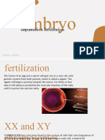 Embryo Implantaction Infertilitation