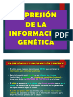 Informacao Genetica