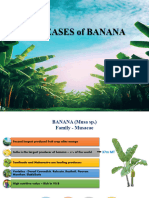 Banana Diseases