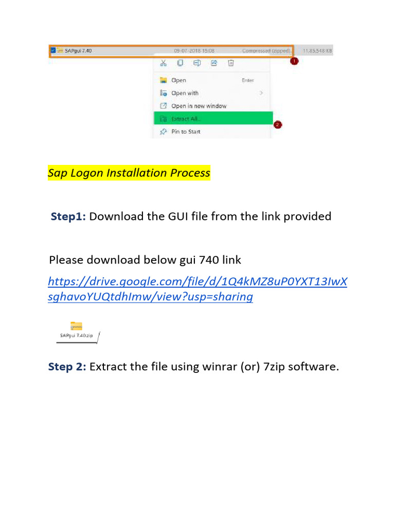 WHAT IS SAP LOGON visual data 3