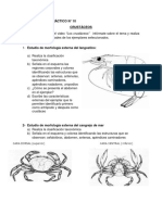 CLASE TEÓRICO Crustáceos