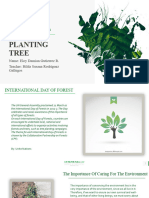 Planting Tree