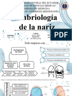 Embriología de Nariz