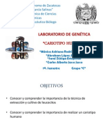 genetica laboratorio..cariotipo!!!