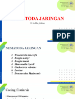 Nematoda Jaringan