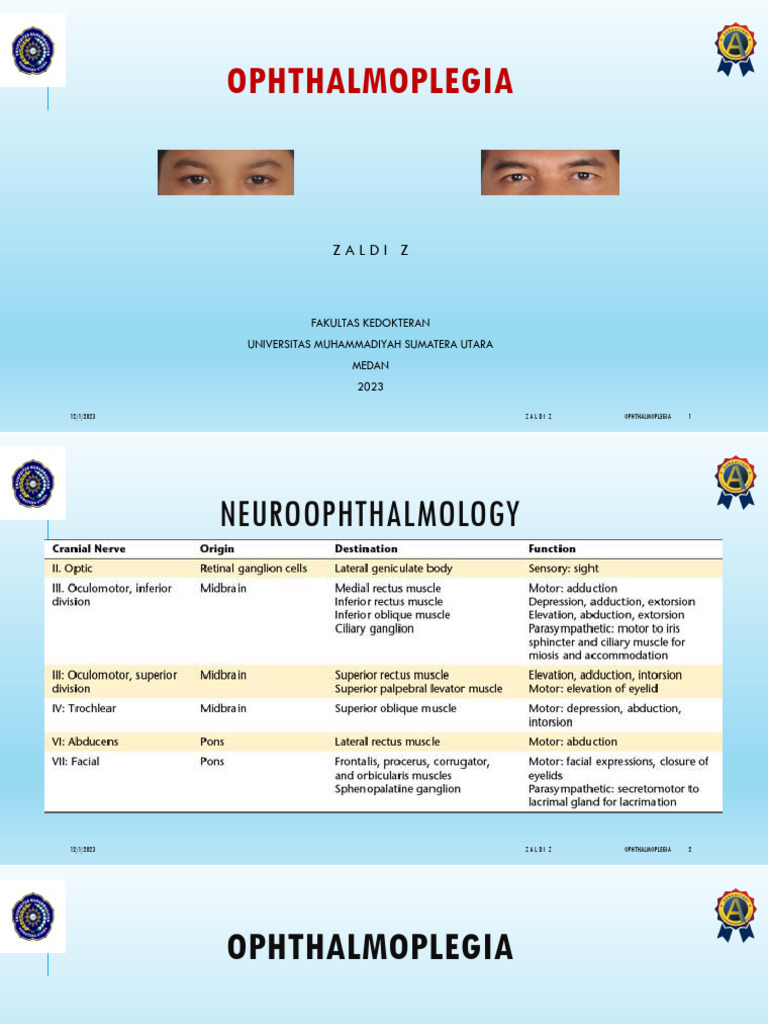 Understanding Ophthalmoplegia Types | PDF | Self-Improvement | Wellness