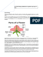 Dse V Sem Practical 3 Eng + Hindi