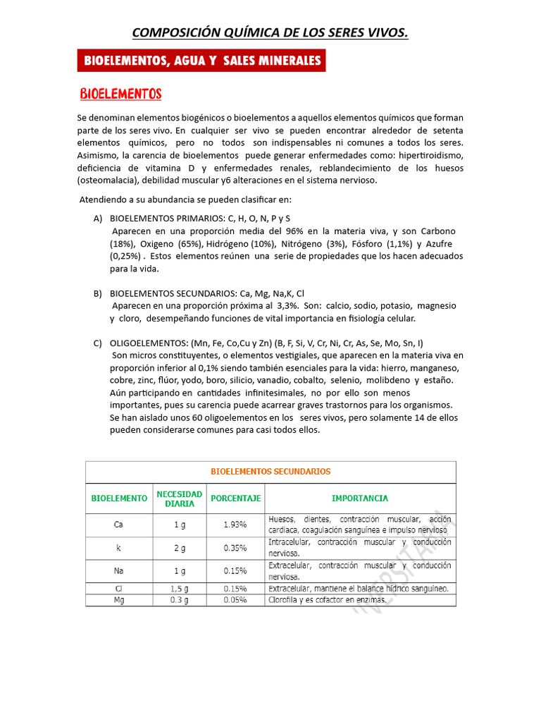 Composición Química de Los Seres Vivos | Descargar gratis PDF ...