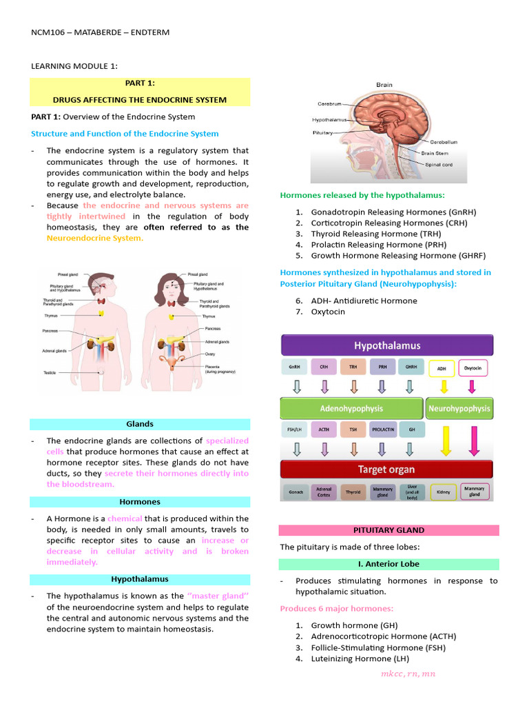Pharmaco Endterm | PDF | Wellness