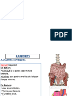 Colon Partie 2