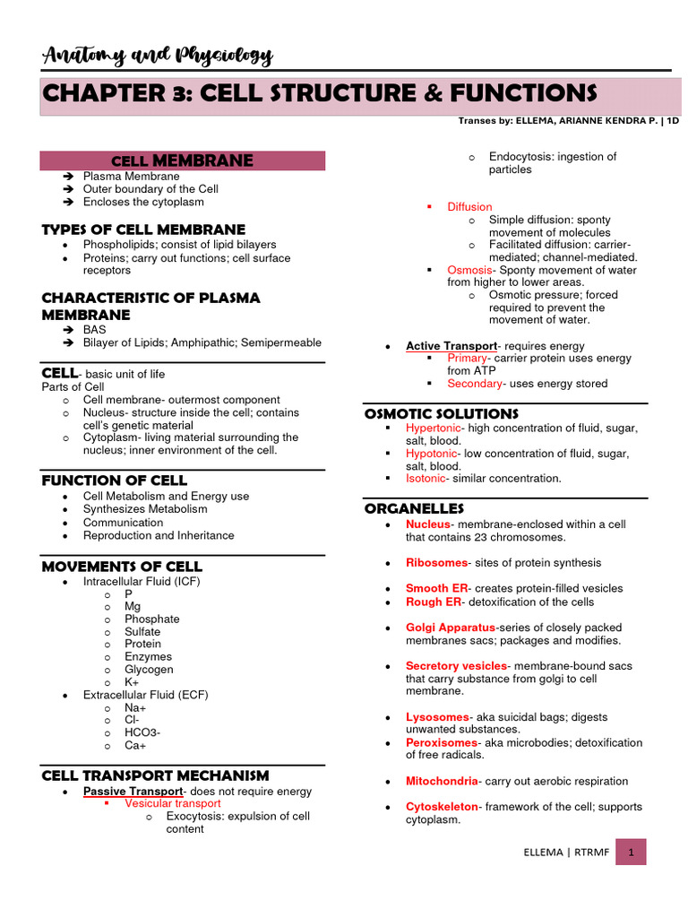WHAT IS ANATOMY AND PHYSIOLOGY PDF NOTES visual data 2