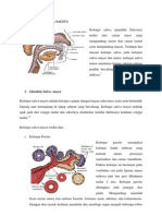 Anatomi Glandula Saliva-Tugas DR - Budi Fix