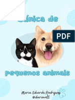 Clínica de Pequenos Animais