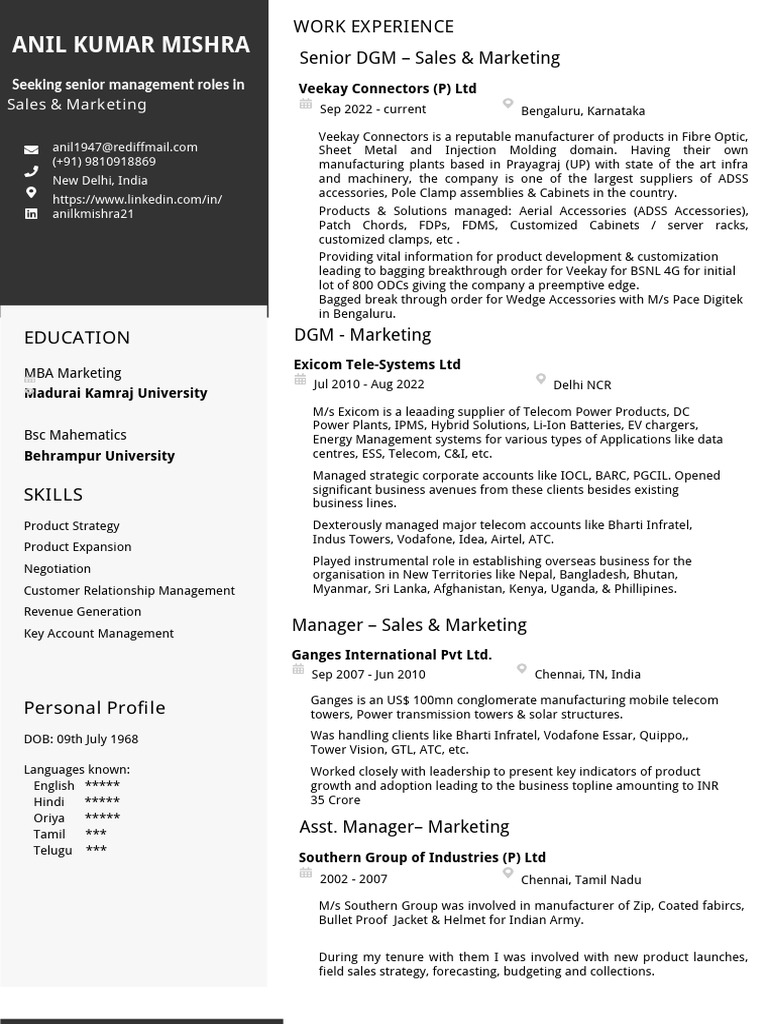 Senior Sales & Marketing Executive Resume | PDF