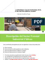 S3 Evolucion-De-La-Seguridad-Y-Salud-Ocupacional-En-El-Trabajo-Del-Sector-Forestal-Chileno