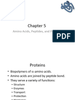 Chapter 5amino Acid, Peptides and Proteins - Hand Out