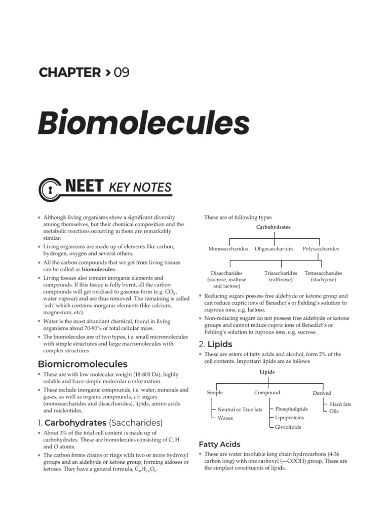 Overview of Biomolecules and Metabolites | PDF | Science & Mathematics