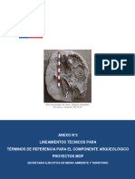ANEXO N°3 Lineamientos TDR 08.2020 Docx - Compressed