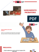 S08 - Diapositivas - Saneamiento Probatorio