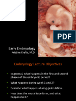 02 Embryology 2022