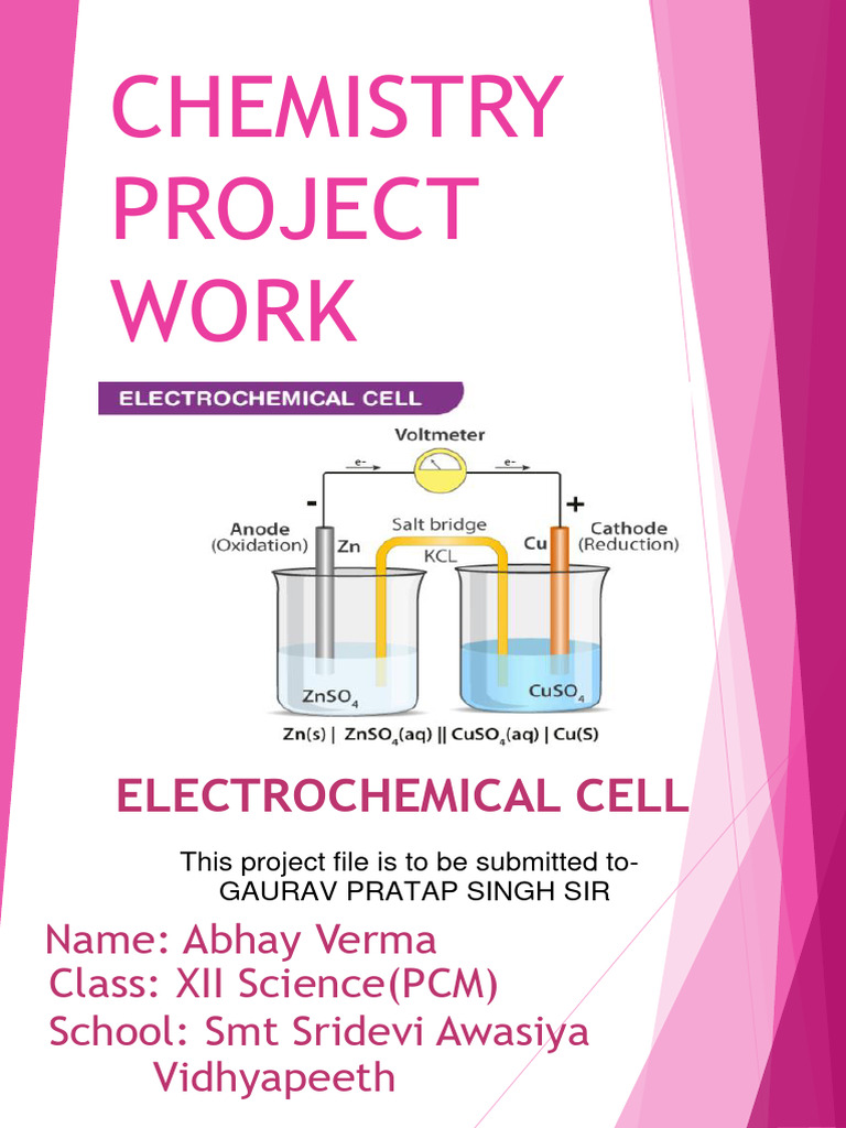 Electrochemical Cell Project File PDF Fuel Cell Electrochemistry