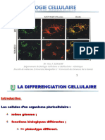 Différenciation Cellulaire-1