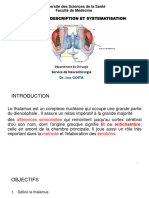 THALAMUS DR Goita