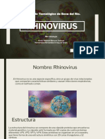 Rhino Virus