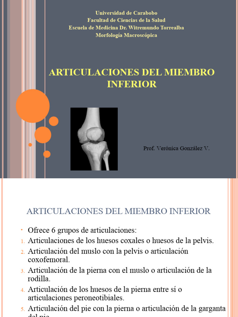 Miembro Inferior Articulaciones Pdf Articulación Rodilla