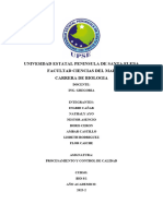 Funciones Operacionales de Una Empresa