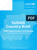 MENA CMReport SudanBrief PDF