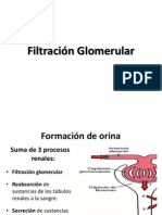 Filtración Glomerular