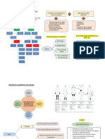 Rehabilitacion en Neuropatia Periferica