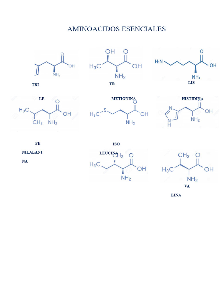 Aminoacidos Esenciales PDF