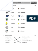 Lernzielkontrolle-probe$Sprache Untersuchen - Einfache Wörter Und Sätze$#0053$Lösungen