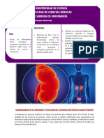 Insuficiencia Renal Crónica