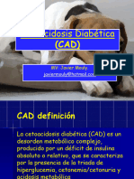 Clase 4 Cetoacidosis Diabetica