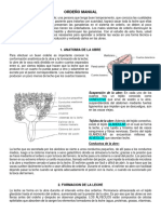 Guia Ordeño Manual