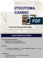  MASTOCITOMA CANINO - Profa Samanta 