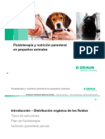 Fluidoterapia y Nutrición Parenteral en Pequeños Animales