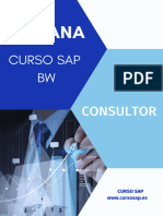 Curso Sap BW Consultor (V. Cursosap)