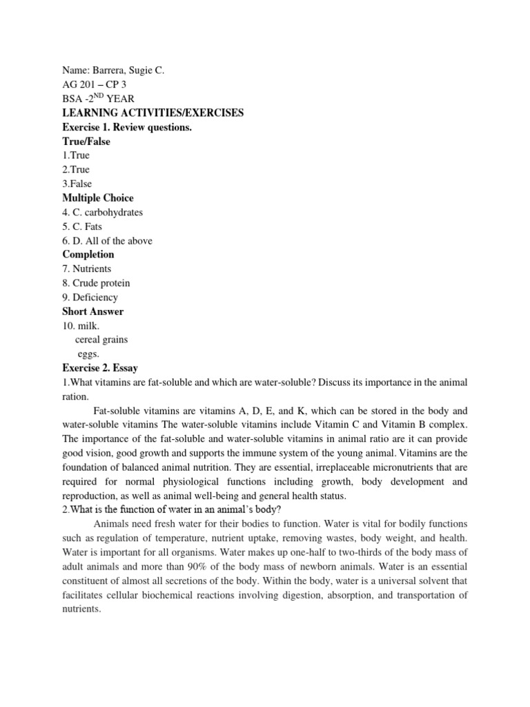 Winter Activities Exercises Pdf