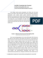 Replikasi Dna, Transkripsi Dan Translasi: Stranded Dna) Menjadi Banyak Dsdna, Dan Dsdna Yang Terbentuk Tersebut Memiliki