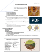 Equine Therio - Sara's Study Guide 2