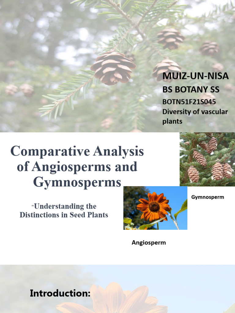 Vascular Plant PDF Fruit Seed